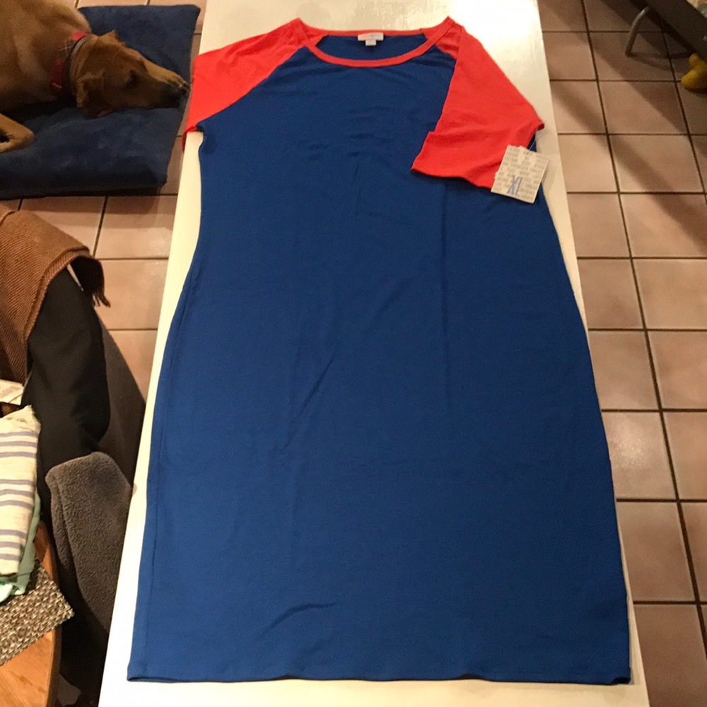 Lularoe Julia Dress